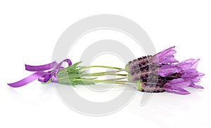 Lavender Herb Flower Posy