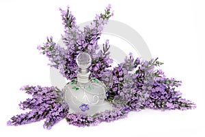 Lavender Flower Scent