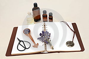 Lavender Herb Flowers Used in Natural Herbal Medicine