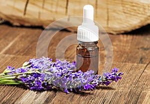 Lavender herbal extract