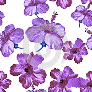 Lavender Hibiscus Set. Pink Flower Plant. Purple Seamless Garden. Vanilla Vintage Backdrop. Pattern Plant. Watercolor Backdrop. Tr
