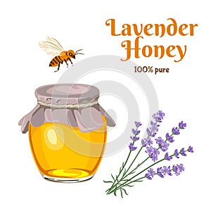 Lavender honey in glass jar, bee and twigs of lavender plants isolated on  white background.