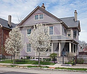 Lavender House with Flowering Pear Trees