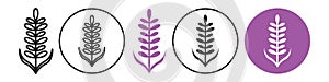 Lavender icon vector set collection for web