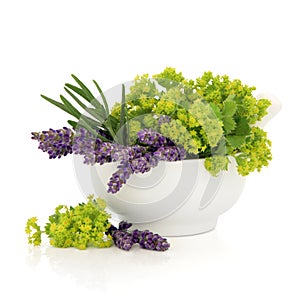 Lavender and Ladies Mantle Flowers