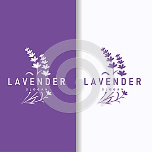 Lavender Logo Elegant Purple Flower Plant Illustration Floral Ornament Design