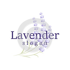 Lavender Logo Elegant Purple Flower Plant Illustration Floral Ornament Design