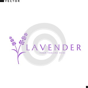 lavender logo. Purple flower sign