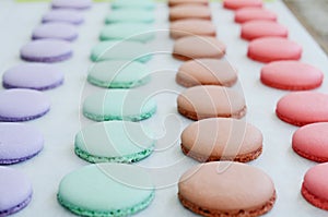 Lavender, mint, caramel and pink macaroon cups over baking paper