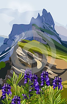 Lavender and mountains hills Vector illustration. Nature backgrounds