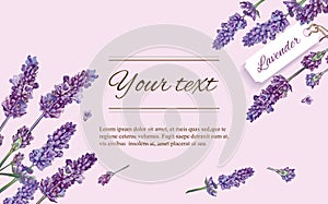 Lavender natural cosmetics banner