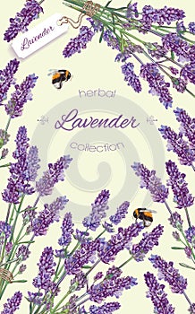 Lavender natural cosmetics banner