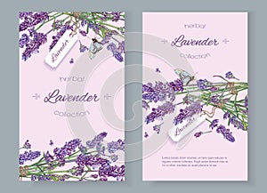 Lavender natural cosmetics banners