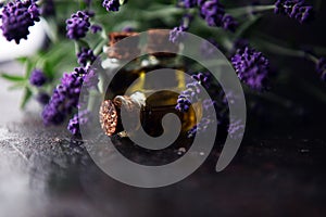 Lavender oil in a glass bottle on a background of fresh flowers