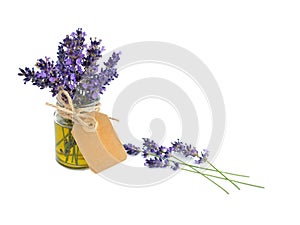Lavender oil in glass bottle from fresh flowers isolated on white background