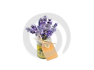 Lavender oil in glass bottle from fresh flowers isolated on white background