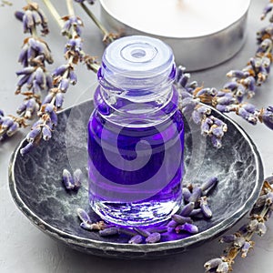 Lavender oil in glass bottle with lavender flowers on background, square