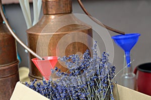 Lavender oil itself