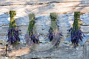 Lavender and old boards