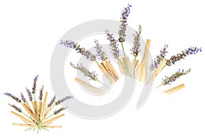 Lavender Palo Santo Bouquet Isolated