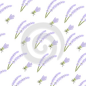 Lavender pattern with purple flowers and branches. Seamless floral background