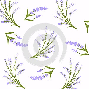 Lavender pattern with purple flowers and leaf. Seamless floral background