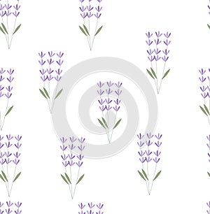 Lavender plant vector pattern. Lavanda pattern