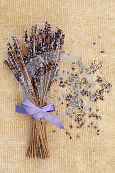 Lavender Posy