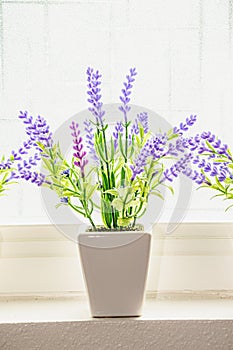 Lavender, purple flowers arranged in white, porcelain vases