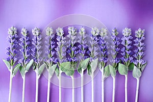 Lavanda cola 