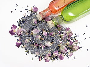 Lavanda 