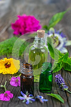 Lavender, rosemary, marigold and sage herbs in flower with an aromatherapy essential oil blue glass dropper bottle in a line, over