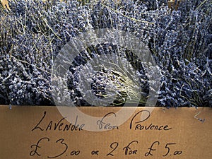Lavender for sale