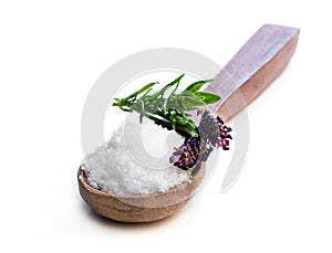 Lavender salt in wooden spoon isolated on white