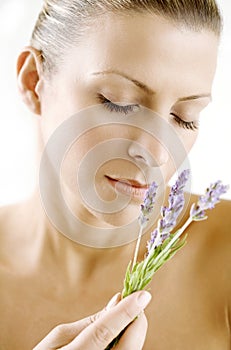 Lavender scent photo