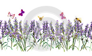 Lavender seamless frame wirh honey bees, butterflies. Watercolor floral repeating stripe