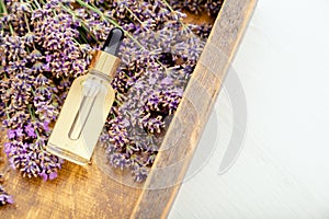 Lavender Serum, essential oil in glass dropper bottle on fresh lavender flowers. Lavender cosmetic. Spa beauty products. Flat lay