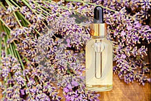 Lavender Serum, essential oil in glass dropper bottle on fresh lavender flowers. Lavender skincare cosmetic. Natural spa beauty