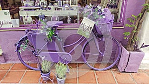 Lavender shop bike