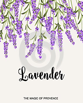 Lavender sign label