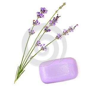 Lavender soap isolated on white background. Flat lay,top view