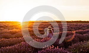 Lavender. Sunset. little girl run. Rear view.