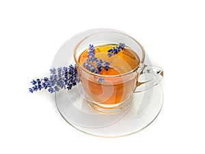 Lavender tea isolated white background
