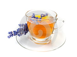 Lavender tea isolated white background