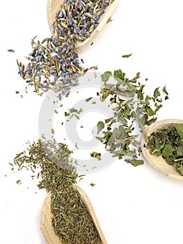 Lavender, thyme and mint on wooden spoons and in bulk. Healthy herbs. Healthy diet