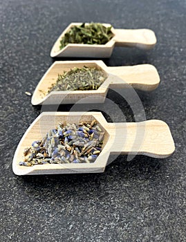 Lavender, thyme and mint on wooden spoons and in bulk. Healthy herbs. Healthy diet