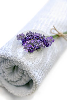 Lavender towel