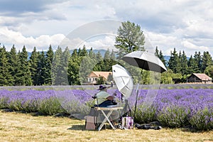 Lavender valley mt hood in Oregon