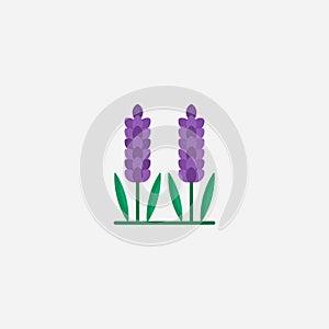Lavender vector icon sign symbol