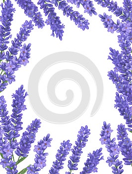 Lavender Watercolor bouquet of Provence flowers illustration set of summer botanical decorations design wedding invitation greetin